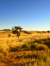 Wandern in Afrika und Südafrika